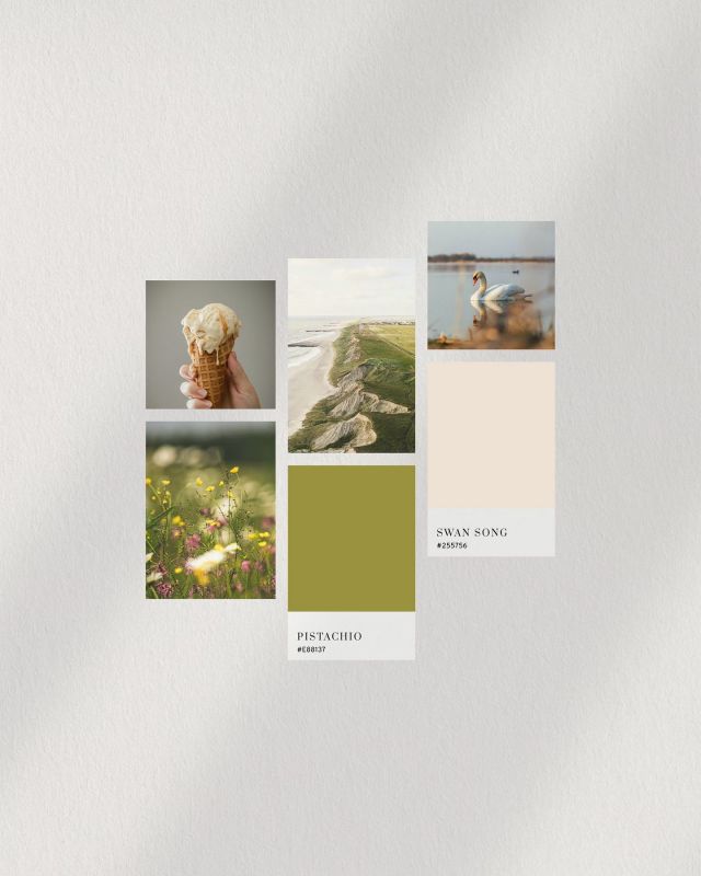 Nedtonede nuancer eller friske farver? Hvordan ser farvepaletten for din sommer ud? 🎨

🏷 #SummerPalette #ColorfulSummer #GraphicDesign #ColorInspiration #DesignTrends #CreativePalette #SummerVibes #ColorTheory #colourtrend24 #pejgruppen #pejtrendcolours #colourtrends #colours